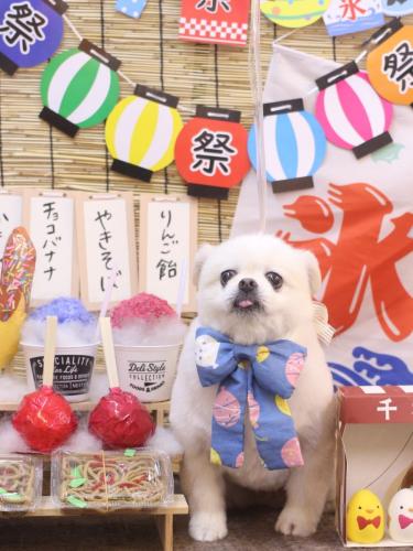 20240730ララちゃん